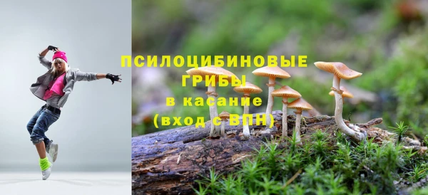 спиды Дмитровск