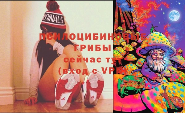 спиды Дмитровск